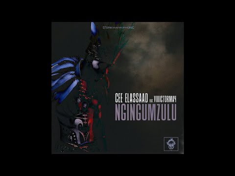 Cee ElAssaad, Viiiictor