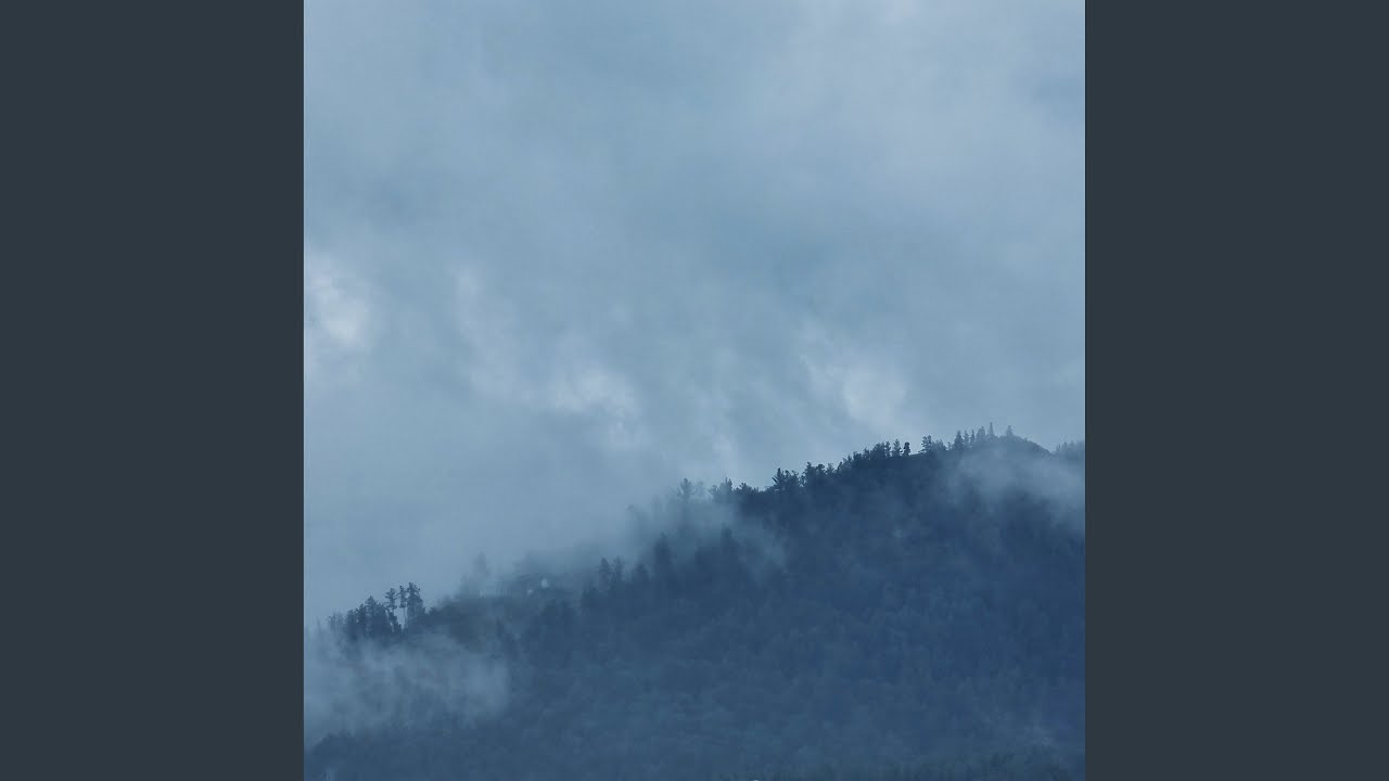 Forest adlı videoyu YouTube'da izle Forest adlı videoyu YouTube'da izle