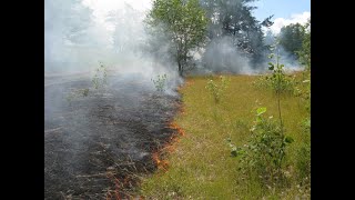2022 MI PFC & Burning Issues Workshop Day One Recording