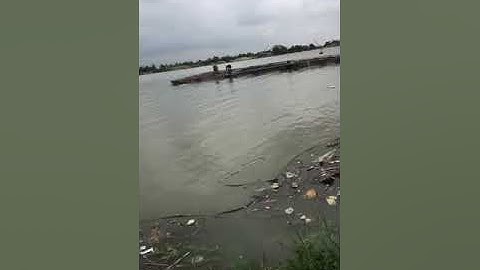 Câu cá khủng sông hồng