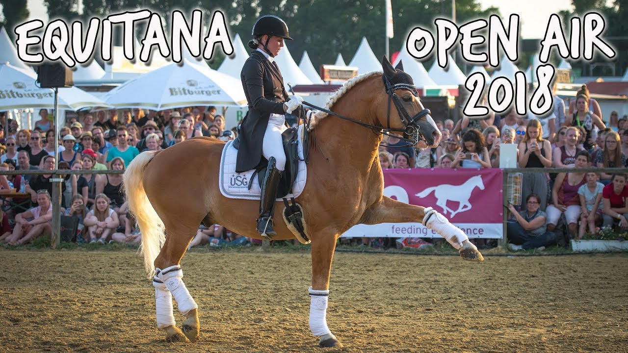[S-Kür] Dressurhaflinger Amani | Equitana Open Air 2018