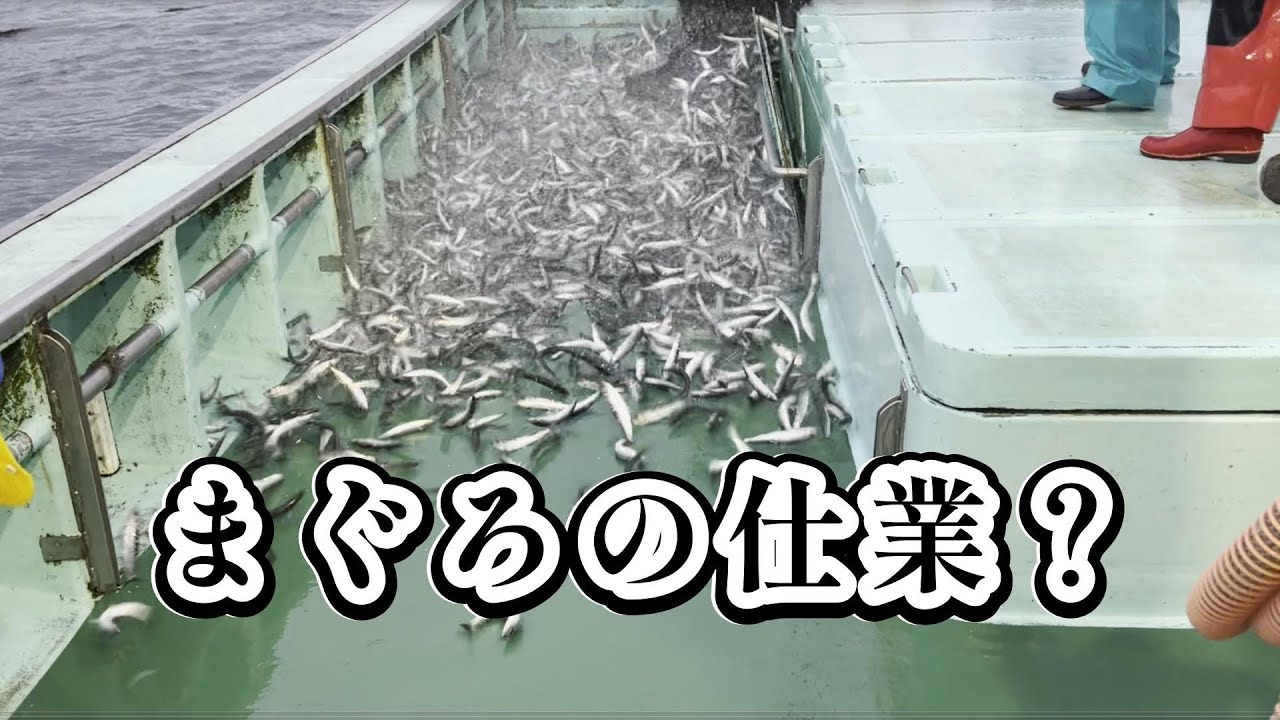 突如大量に入って来た