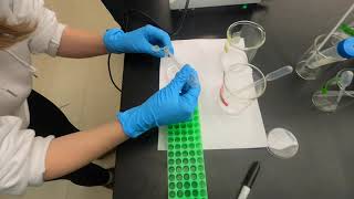 RNA Extraction Lab