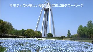 国営木曽三川公園 138タワーパーク@愛知県一宮市