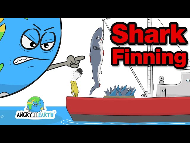 ANGRY EARTH - Episode 10: Shark Finning class=
