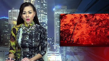 Thảm họa cháy rừng ở Úc – những thống kê chưa có hồi kết