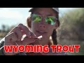 Big Horn Fly Fishing | Wyoming Trout