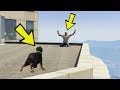 CHOP TREVOR'A SALDIRIRSA NE OLUR? - GTA 5 TÜRKCE