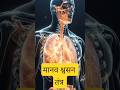 मानव श्वसन तंत्र, नाक से फेफड़ों तक ऑक्सीजन का सफर cl🔥#shorts #cbse #cbsebiology #youtubeshorts