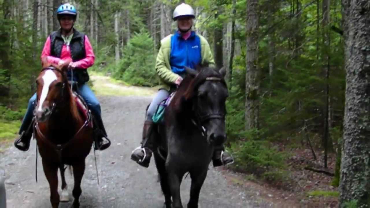 ARCADIA NATIONAL PARK, CARRIAGE ROADS, WAGON & HORSE RIDES 11 YouTube