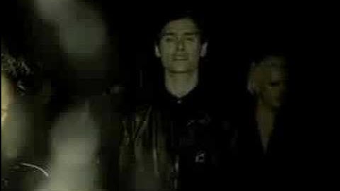 White Rose Movement - Alsatian