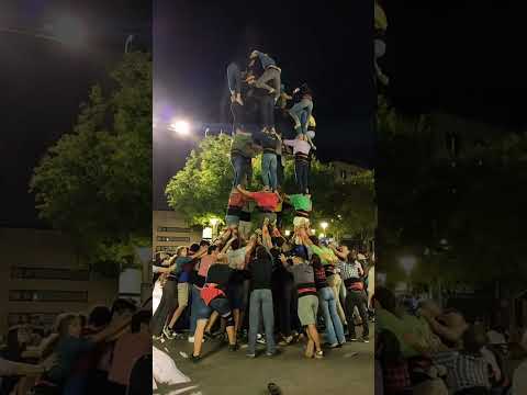 Assaig de Festa Major 2025 - Castellers de Sabadell - "Assaig del 7d8" 