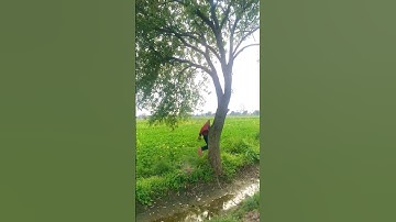 Vfx magic loop funny video #shorts