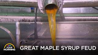 The Great Maple Syrup Feud: Plessisville vs. Mirabel | Your Morning