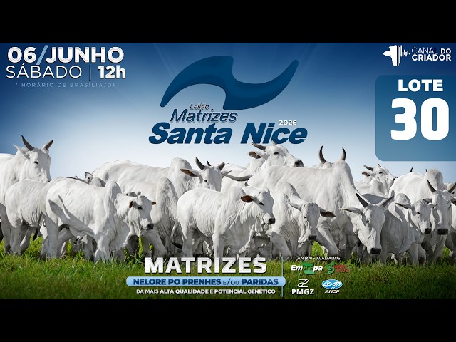 LOTE 30   GRI C6056