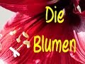 Learn German: Die Blumen