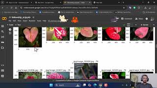 oxford 102  flowers classification, deep learning image classification tutorial