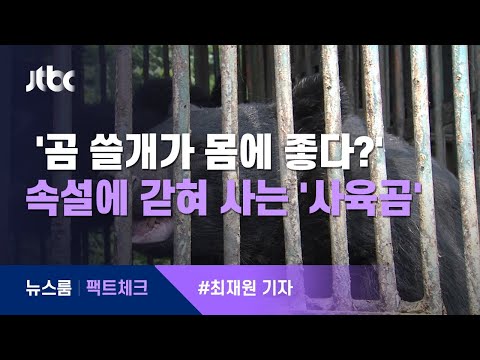 [Fact Check] 'Are bear gallbladders good for you?'… The 'farmed bears' trapped for life due to ex...