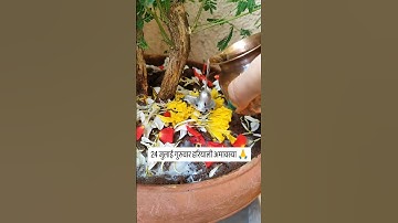 24 जुलाई गुरुवार हरियाली अमावस्या 🙏 #pradeepmishrajidhankeupay #upay #astrology