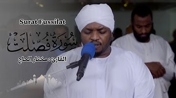 القارئ مختار الحاج - سورة فصلت