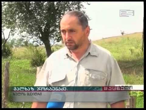 შეასრულა თუ არა წინასაარჩევნო დაპირებები ბეგლარ აბაშიძემ