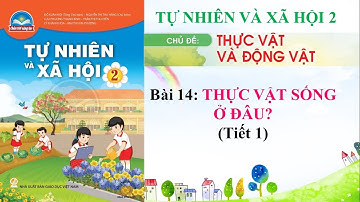 Tự nhiên và Xã hội 2 | Tuần 15 | Bài 14: Thực vật sống ở đâu? | Tiết 1 | Trang 58, 59 | CTST