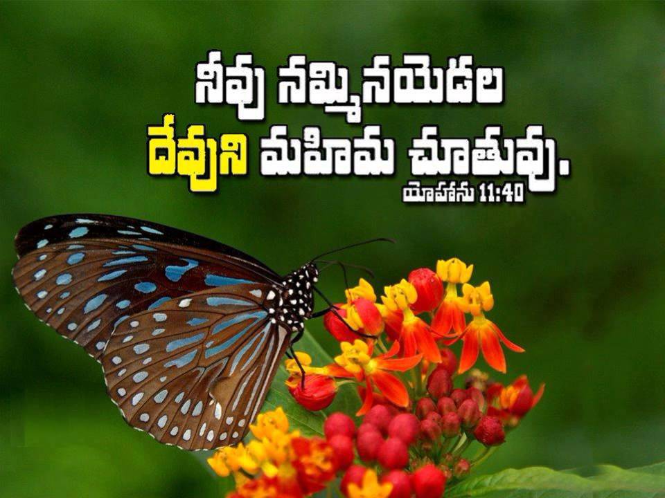 jesus song (Suvartha Bhuralu)