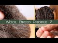 Hand Spinning Different Breeds: Shetland