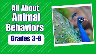 Animal Behavior - More Real World Science On Harmony Square