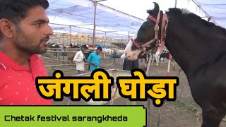 चौधरी हौर्स फार्म के 5 बेस्ट घोड़े unique items of chetak festival sarangkheda 2019