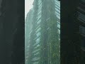 lush green skyscraper in the morning light