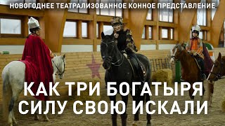 Новогоднее театрализованное конное представление &quot;Как три богатыря силу свою искали&quot;