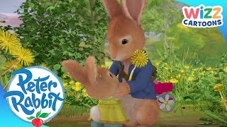 @OfficialPeterRabbit  Peter & CottonTail | ActionPacked Adventures | Wizz Cartoons