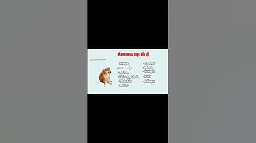 Ding Ding memes: Cách con trai và con gái chọn dầu gội