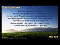 "О возрождении". П.Н. Ситковский. МСЦ ЕХБ.