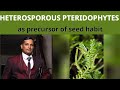 32.Heterosporous pteridophytes as precursor of seed habit. # class 11 # Plant kingdom#Neet biology