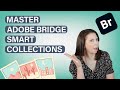 Master Adobe Smart Collections | Adobe Bridge 101