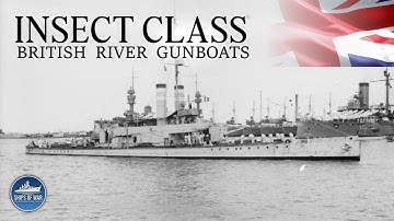 Dominated the Rivers of War | Insect Class River Gunboats