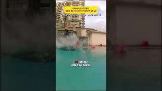 Link Dibio No 010 Red Buffalo Storm 4Kv2