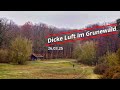 Dicke Luft im Grunewald 26.03.25