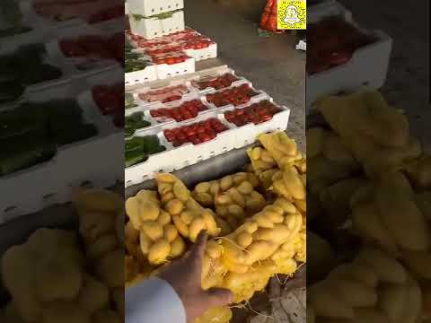 تغطية سوق بريدة للخضار إعلانات القصيم 1443 12 20