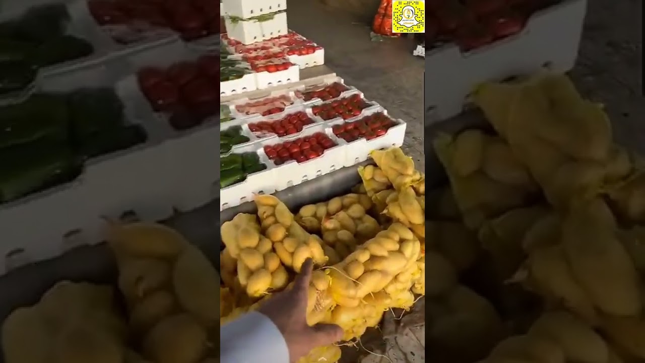 تغطية سوق بريدة للخضار | إعلانات القصيم 1443/12/20