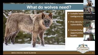 Wolves: Exploring the Past, Present, and Future of Greater Yellowstone’s Iconic Canine