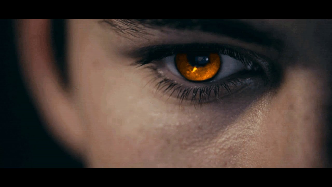 Золотые глаза 6. Мужские глаза Эстетика. Глаза оборотня. Золотые глаза у мужчин. Желтые глаза Эстетика.