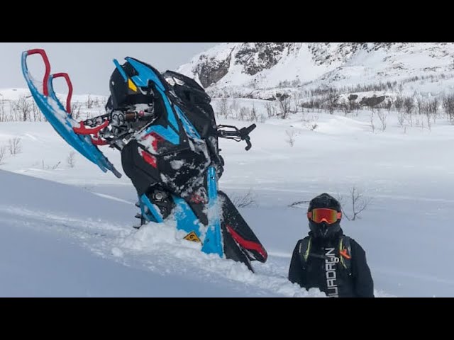 2024 Shredder Deep Snow Sport Snowmobiles - Lynx