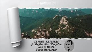 Zeynel Tatlıses / Şu Dağlarda Kar Olsaydım