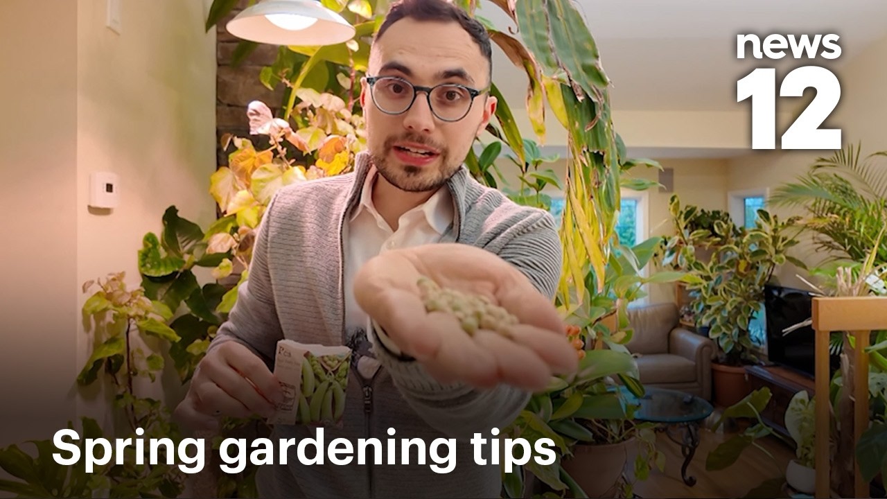 Get your garden ready: Early spring tips for March - YouTube