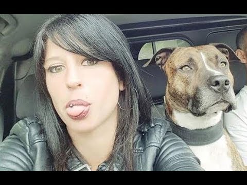 Elisa Femme Enceinte Tuee Par Morsure De Chien Dans L Aisne