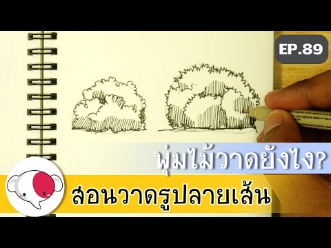 วีดีโอ: วิธีการวาดพุ่มไม้