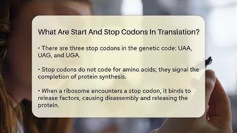 What Are Start And Stop Codons In Translation? - Biology For Everyone